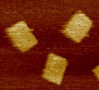 File:BIOMOD-2012-UTokyo-UTKomaba-PlainTablet.png-600px