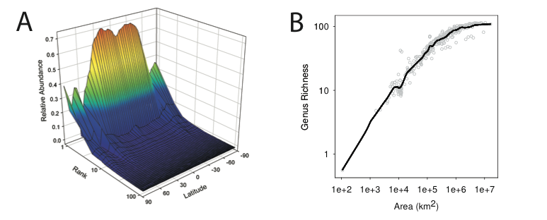 Patterns of biodiversity. (A) Rank-abundance curves along a transect at 165◦W indicate that in the tropical Pacific, the dominant genera have relative abundances close to twice those of their counterparts in the high latitudes. (B) Genus-area relationships are relatively steep at the sampling depth considered here, suggesting high rates of endemism amongst the analyzed genera.