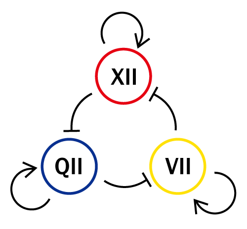 Anticlockwise Cycle of the States