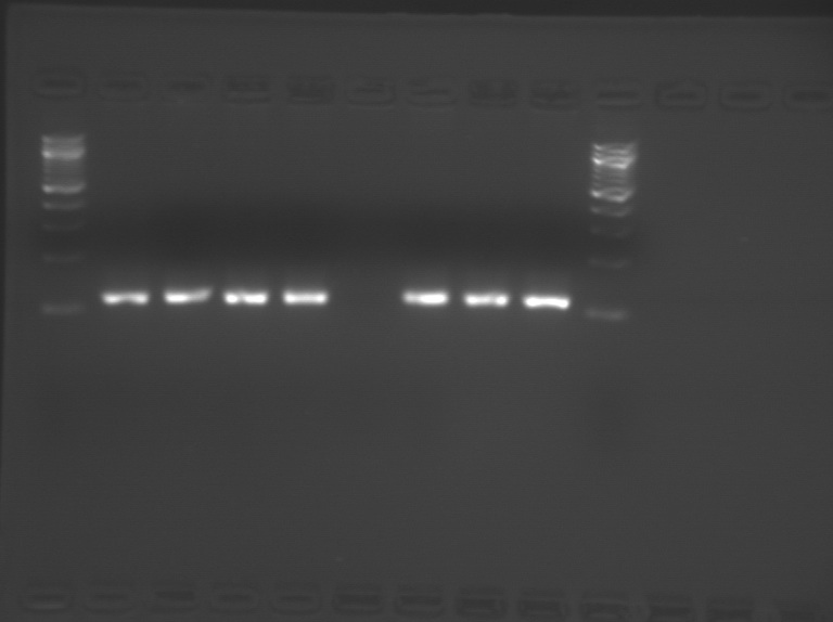 File:S10 M1D5 TR top-half.jpg