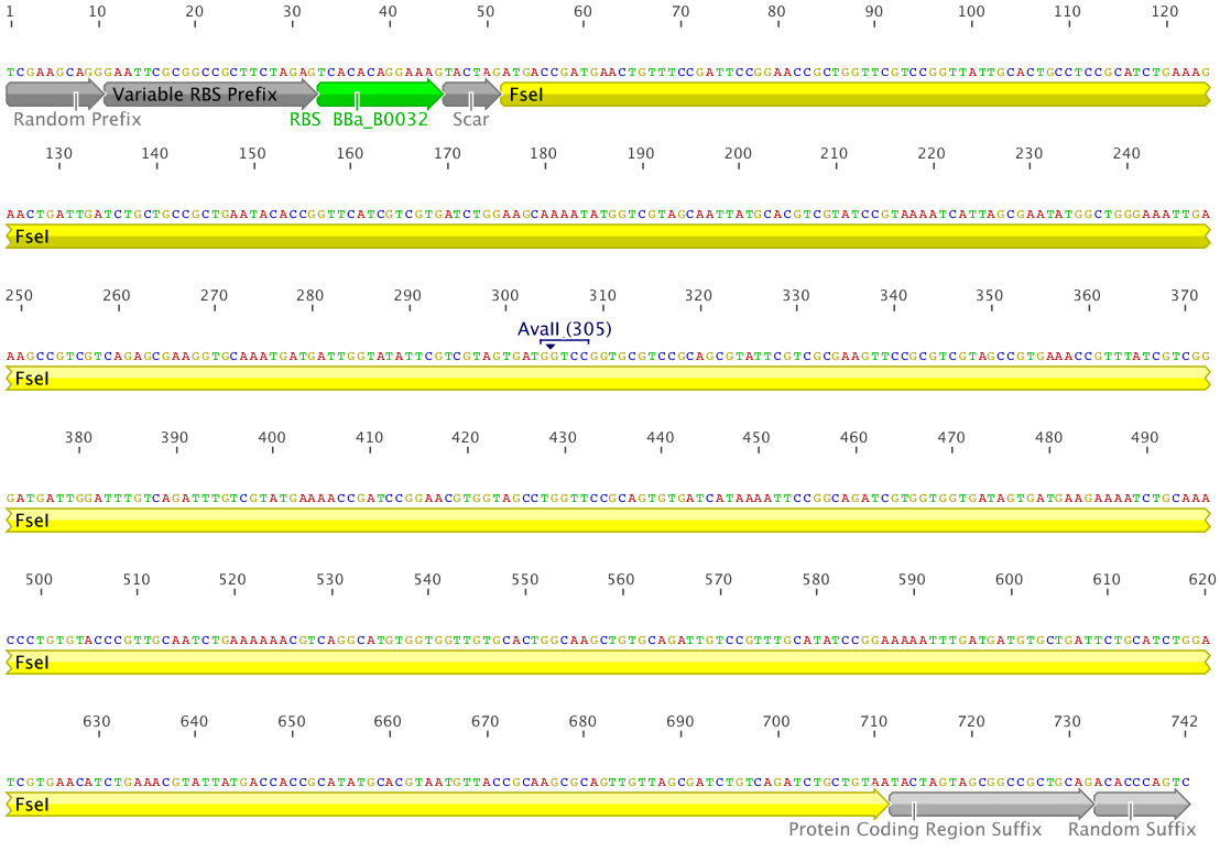 Figure 1 : RBS_FseI Complete Construct