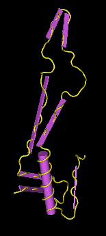selected amino acid sequence in gp120