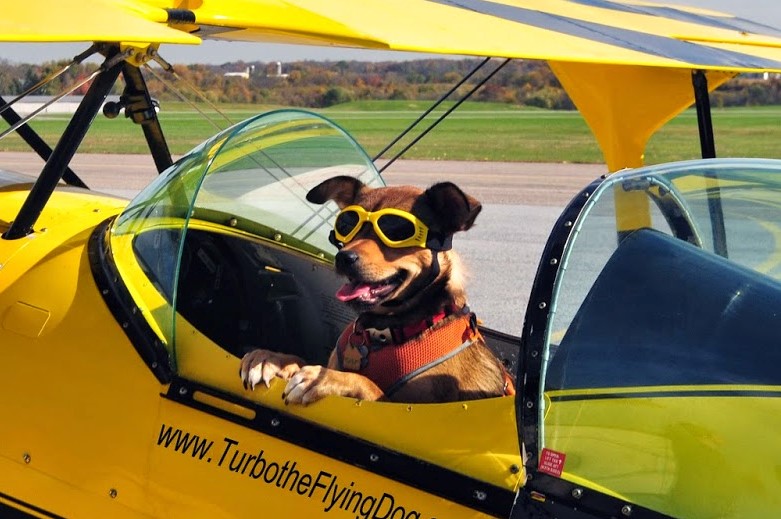 File:Turbo Pitts Photoshoot Closeup.jpg