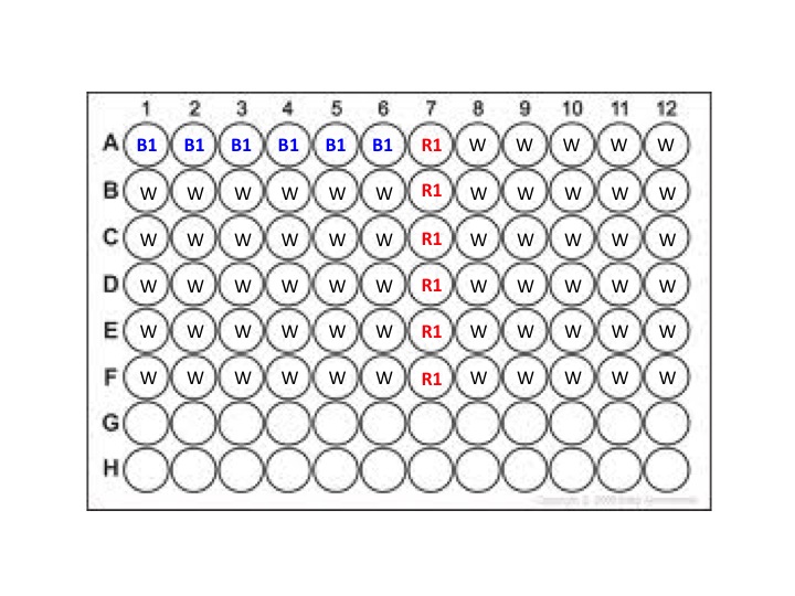 File:Dilution plate 2019 F13 M2D1.jpg