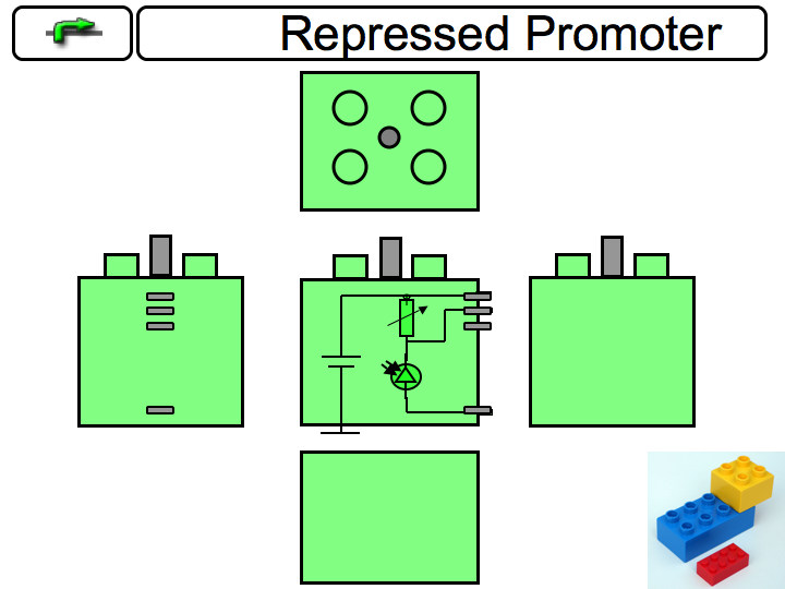 File:HandsOnBioBrick RepressedPromoter.png