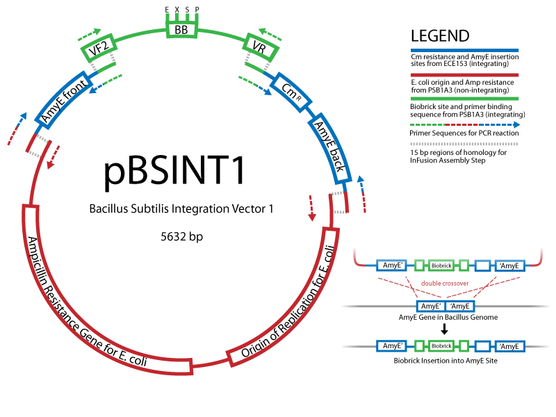 File:PBSINT1 final.png