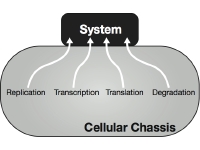 Engineering the Host/System Interface