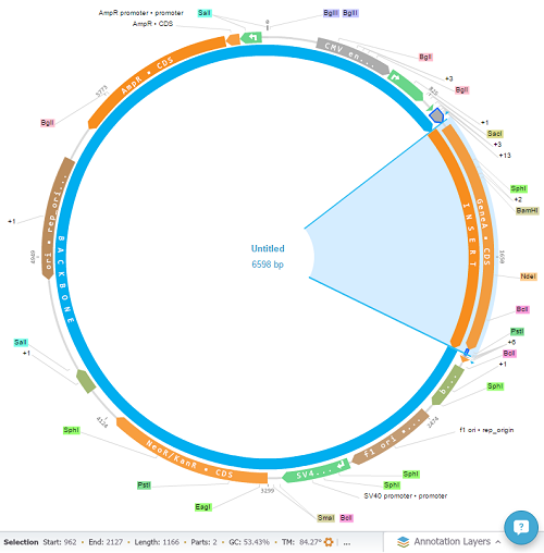 Ligate to the Backbone