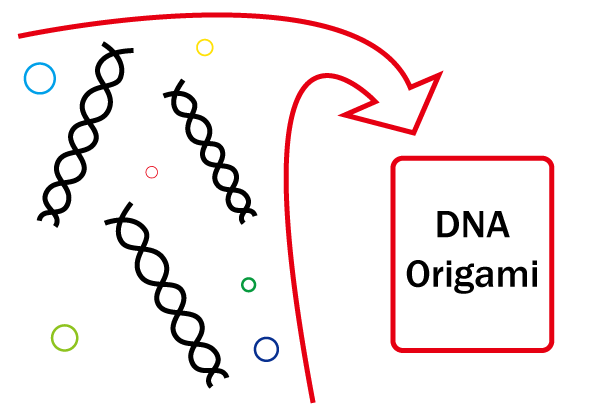 Original Origami Concept