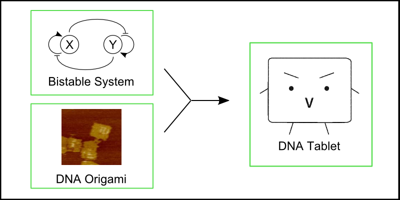 File:Biomod 2012 Team-Komaba Idea-overview.png