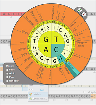 Optimize Codon Usage