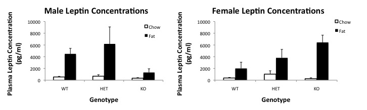 File:Plasma leptin.jpg