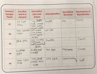 File:Harry Chart.jpg