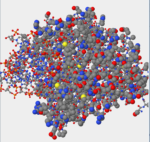 I chose the atom furthest to the left