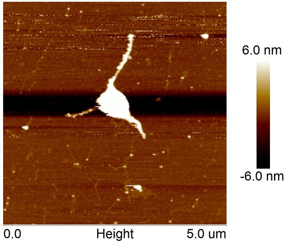 File:HKBU 2013 Oct03s121.jpg