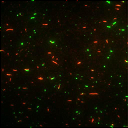 File:NBgamers Home 4.png