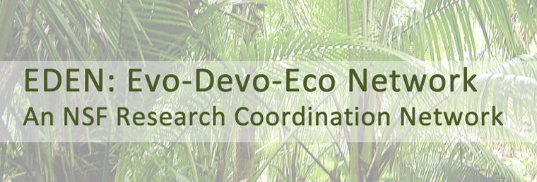 File:Eden banner main collage.jpg