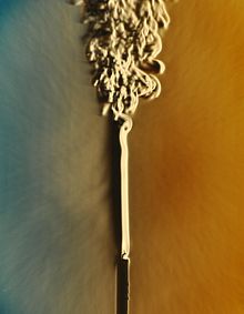 File:Laminar-Turbulent Transition.jpg