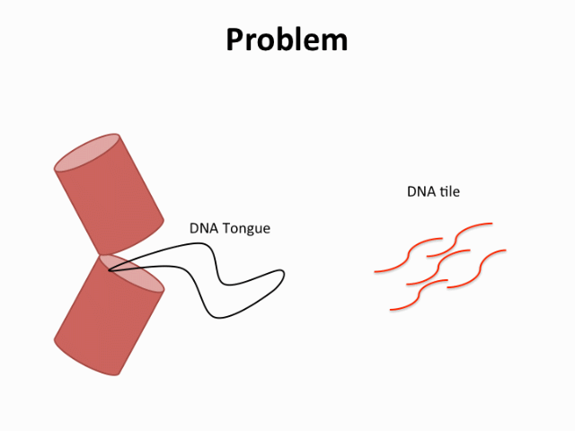 File:初期デザイン問題点 new loop.gif