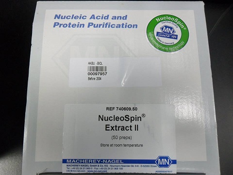 File:HKBU 2013 NucEx.jpg