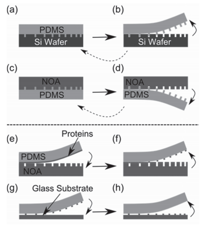 Figure X Liftoff printing procedure [8]