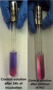 File:15feb-Control solution.png