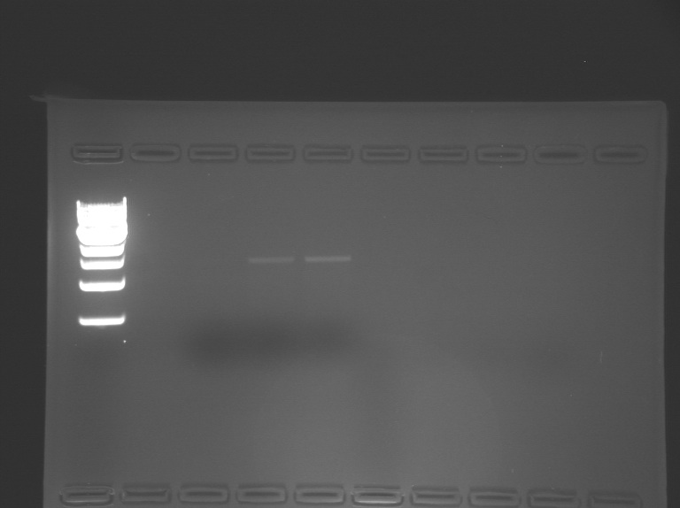 File:S14-M1D4 WF-Grn.jpg