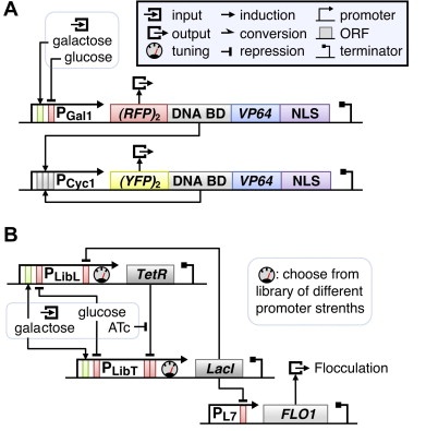 FEBS Letters Review
