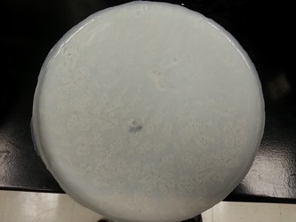 File:20140918 103345.jpg