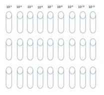 File:Template nitrifierssm.jpg