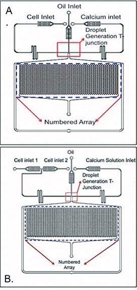 File:Droplet Device Design.png