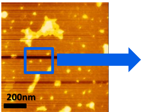 File:Weathercock 16.png