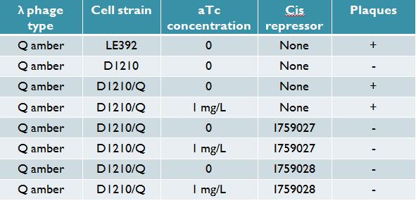 Titering results for Q construct without cis repressor