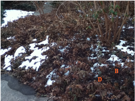 File:Screen Shot 2014-02-26 at 9.42.52 AM.png