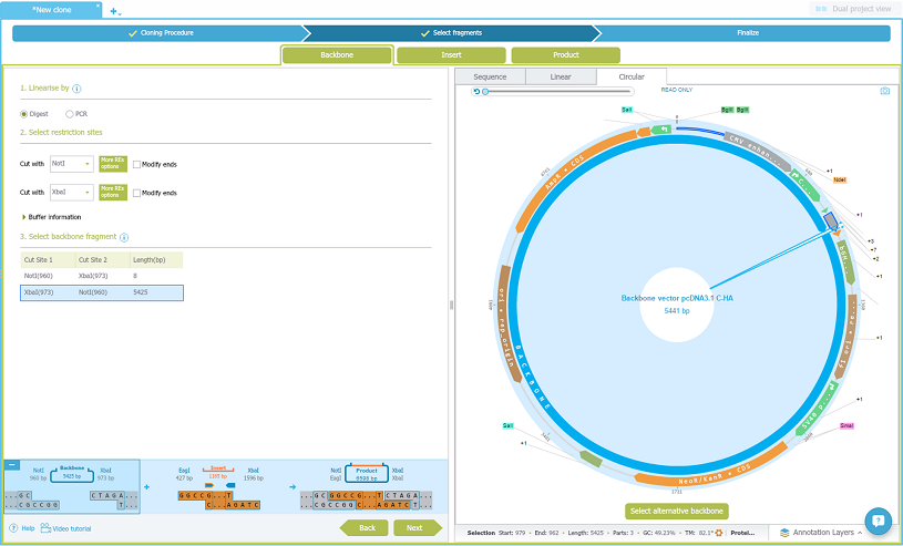 Ligate to the Backbone