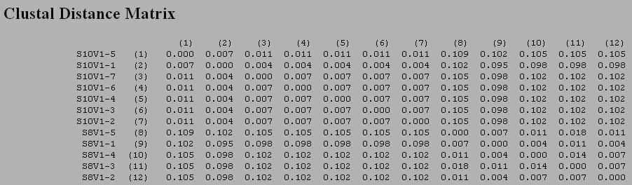Clustdist Subjects 8 and 10