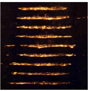 File:Particle Positions.png