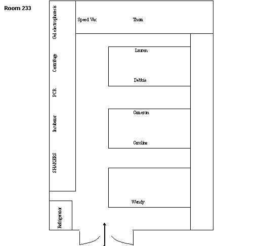 Room_233Layout