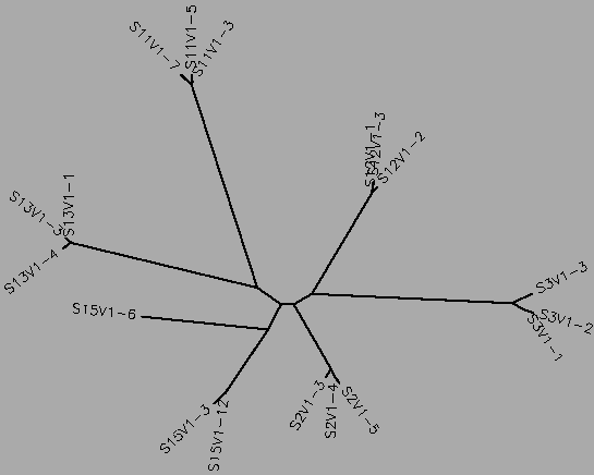 Rapid Progressor and Nonprogressor Visit 1 Tree