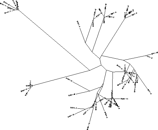 Visit 1 tree diagram, 2