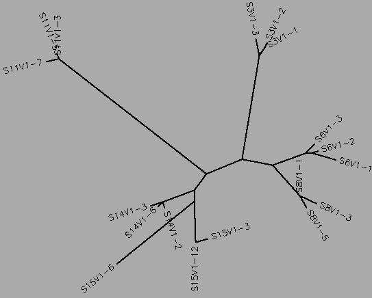 Rapid Progressor and Moderate Progressor Visit 1 Tree