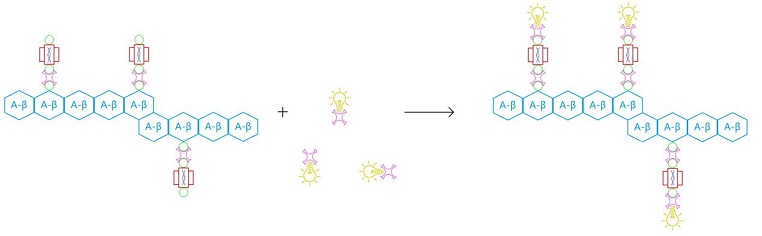 File:HKBU 2013 Step4.jpg