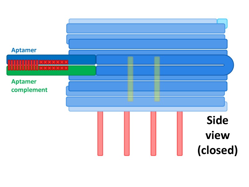 File:BM12 nanosaurs 5 locks side.jpg