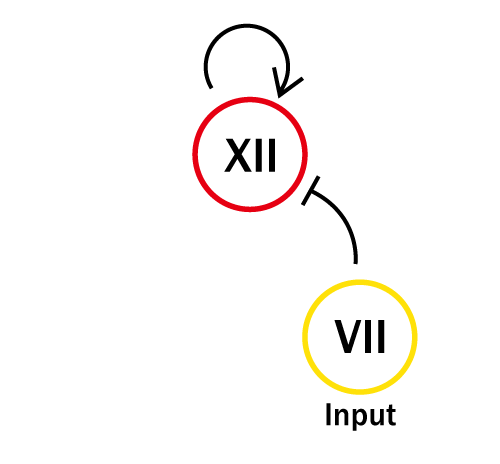 The Concept of the Experiment of XII