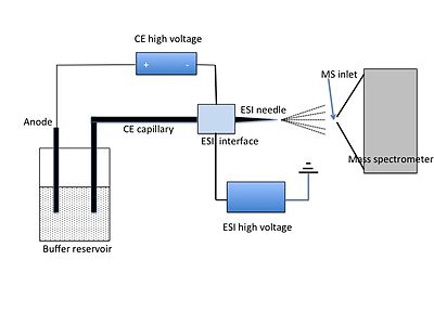 Fig. 3 CE-MS apparatus