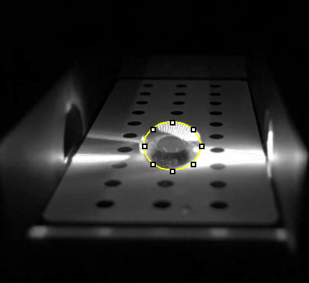 Description of image