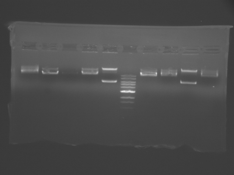 File:S11 M2D3 TR-controls.jpg