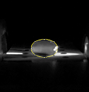 Description of image