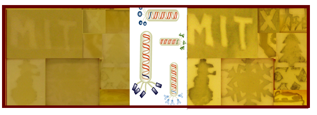 Electrochromic devices built from DNA-programmed iridium nanowires