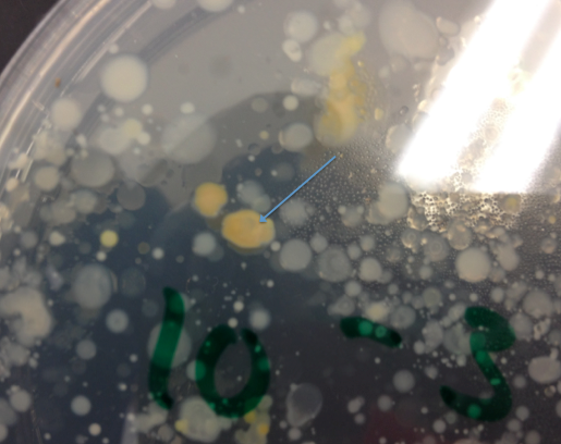 File:Nbonan 09 07 2014 A3.png